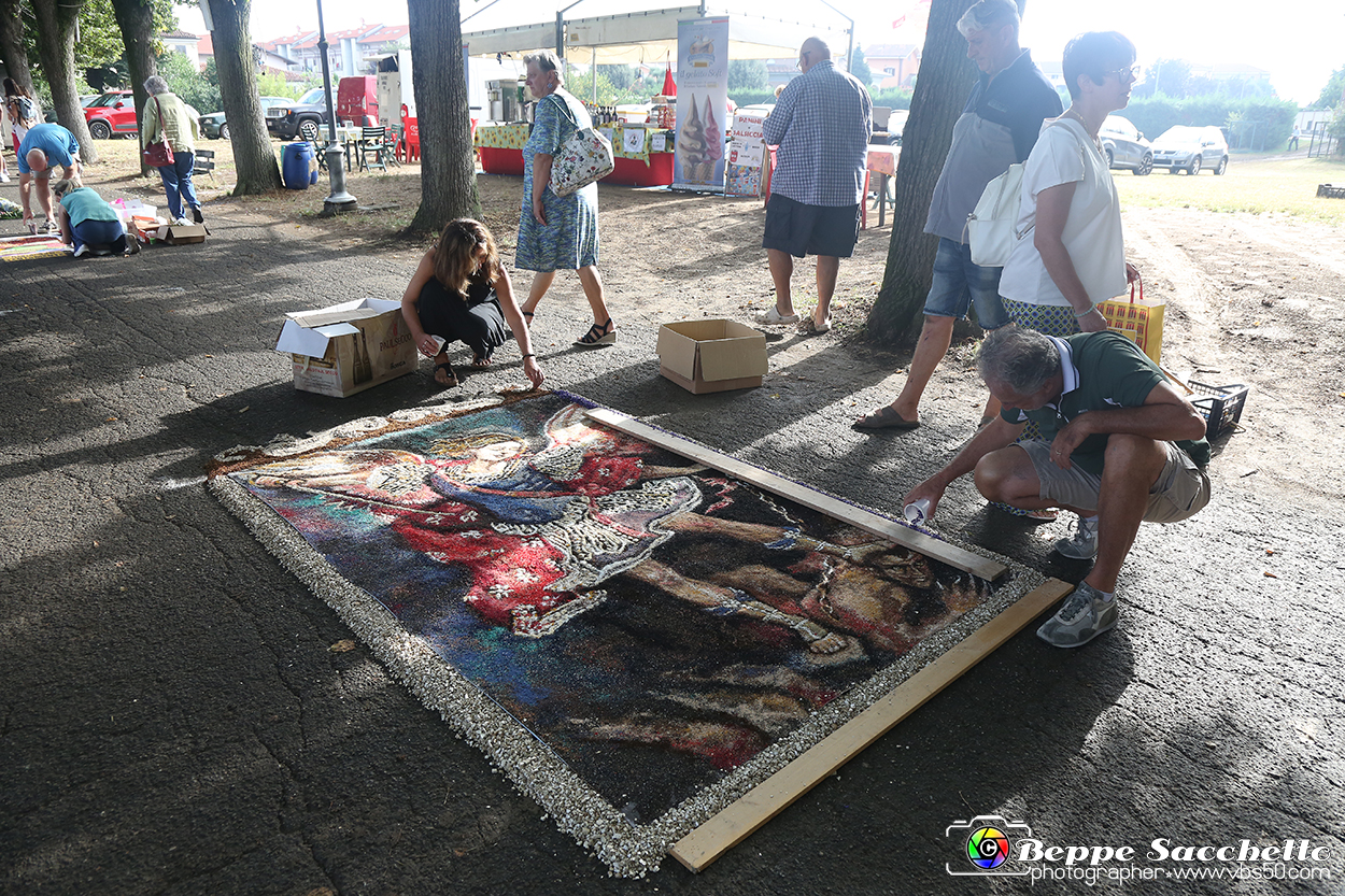 VBS_9546 - Infiorata di Villanova d'Asti 2023.jpg